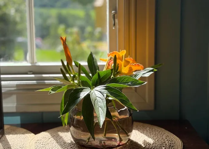 酒店 Granavolden & Gjaestgiveri 4*